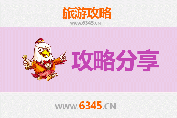 宿州砀山旅游攻略：跟团与自由行深度对比，助你轻松选择最佳出行方式
